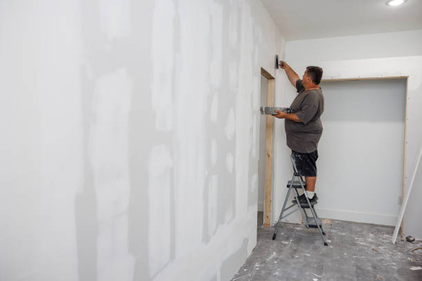 Best Drywall Installation  in USA